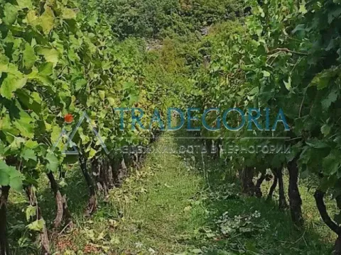 Prodaja, kuća, 170m², Podgorica, Crna Gora - image 3