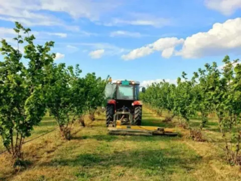 Sale, land lot, 37800m², Sremska Mitrovica, Srbija - image 12