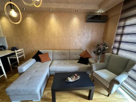 Izdavanje, jednosoban stan, 49m², Ljubović, Podgorica - image 5