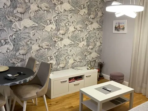 Rent, one bedroom apartment, 34m², Zabjelo, Podgorica - image 4