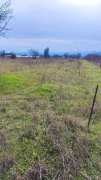 Prodaja, plac, 1500m², Zeta, Podgorica - image 5