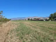 Prodaja, plac, 7000m², Zeta, Podgorica - image 5