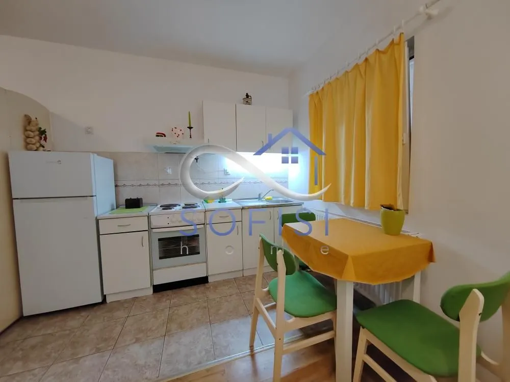Rent, one bedroom apartment, 30m², Bulevar Oslobodjenja, Novi Sad Sve Podlokacije