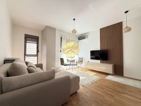 Rent, studio apartment, 30m², Zabjelo, Podgorica - image 2