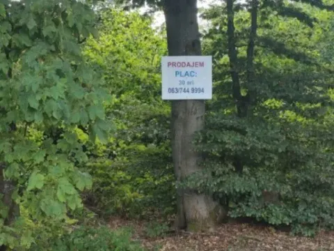 Sale, land lot, 3000m², Goč, Vrnjačka Banja - image 5