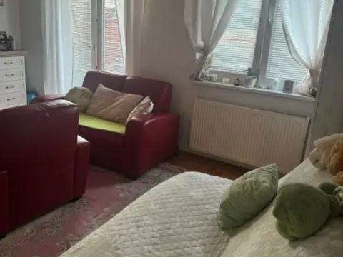 Sale, apartment, 33m², Erdoglija, Kragujevac - image 2