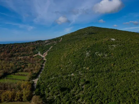 Prodaja, plac, 5230m², Zagora, Kotor - image 14