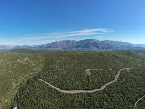 Sale, land lot, 18487m², Zagora, Kotor - image 6