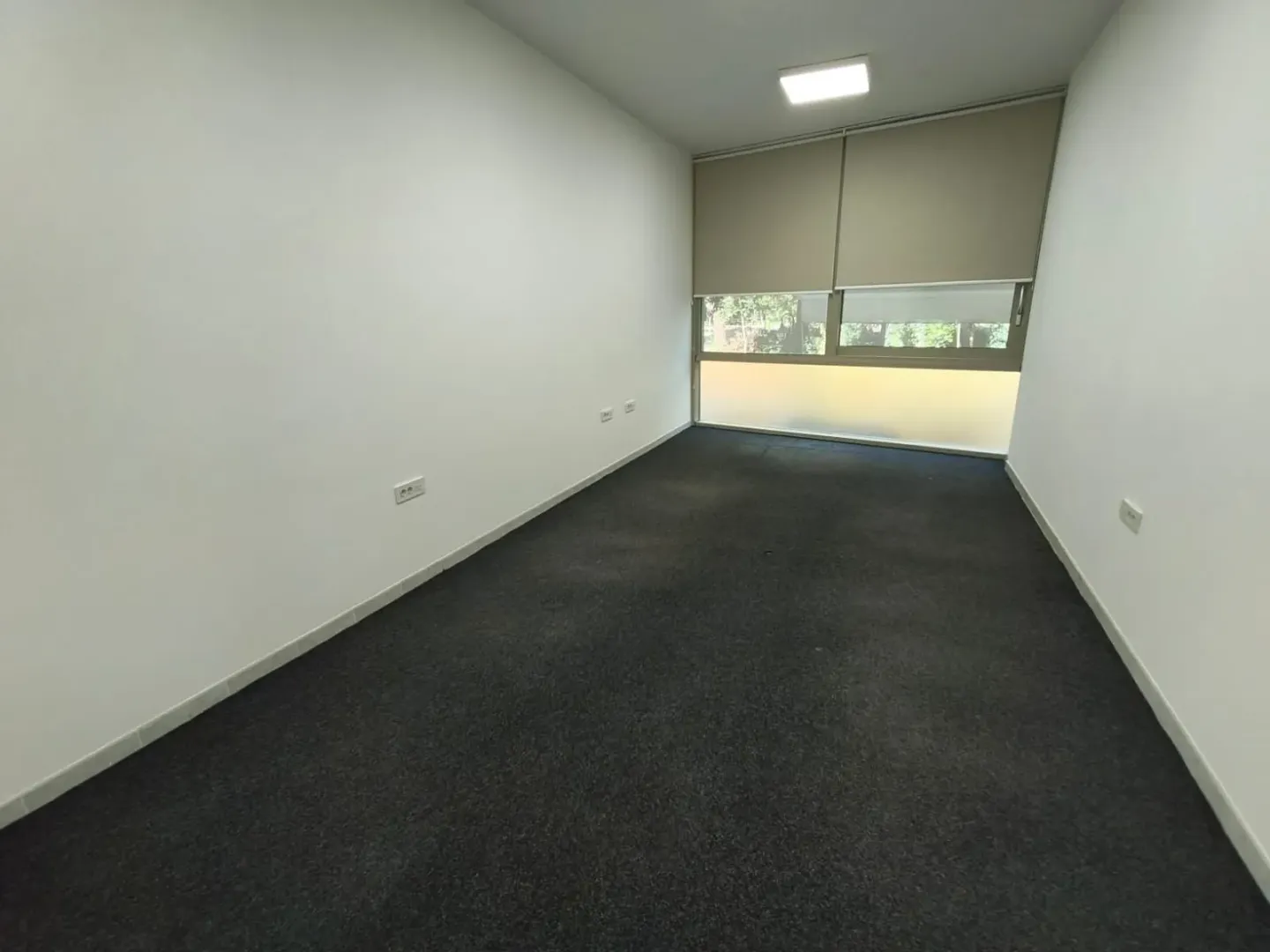 Empty office with white walls, dark carpet, and a window with blinds.