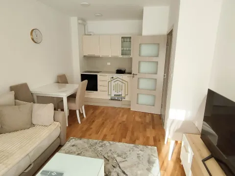 Izdavanje, jednosoban stan, 40m², Zabjelo, Podgorica - image 12