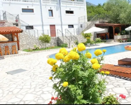 Yard with a swimming pool and paved patio in front of the house. - image 10