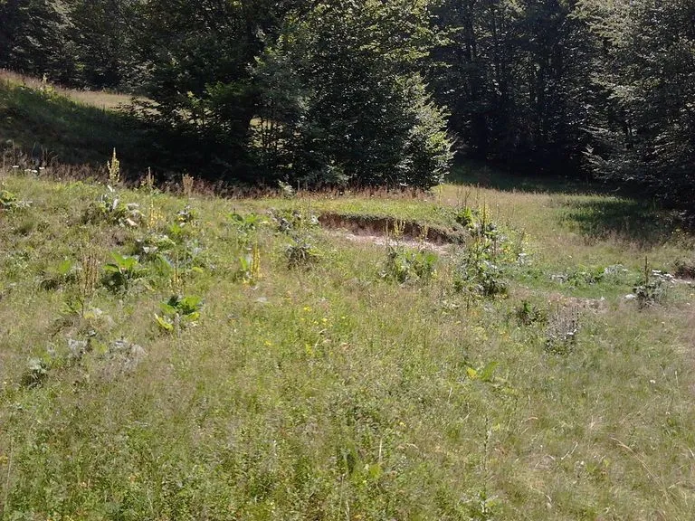 Prodaja, plac, 10000m², Kolašin, Crna Gora