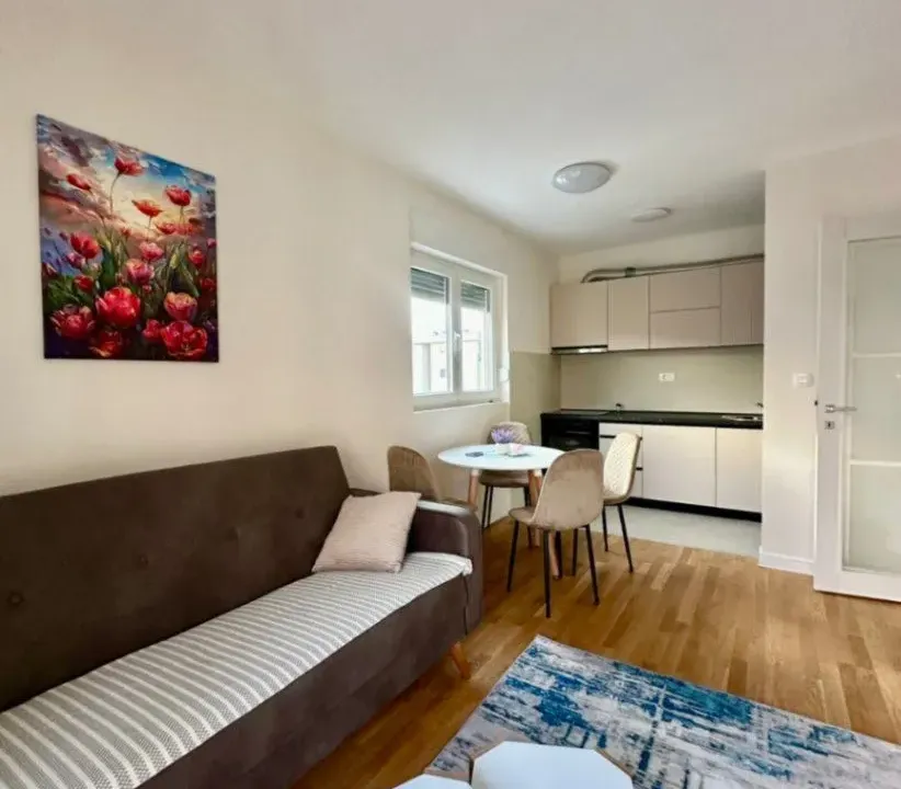 Izdavanje, jednosoban stan, 45m², Pobrežje, Podgorica