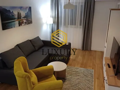 Izdavanje, jednosoban stan, 50m², Central Point, Podgorica - image 4