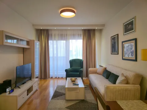 Izdavanje, jednosoban stan, 50m², Preko Morače, Podgorica - image 2