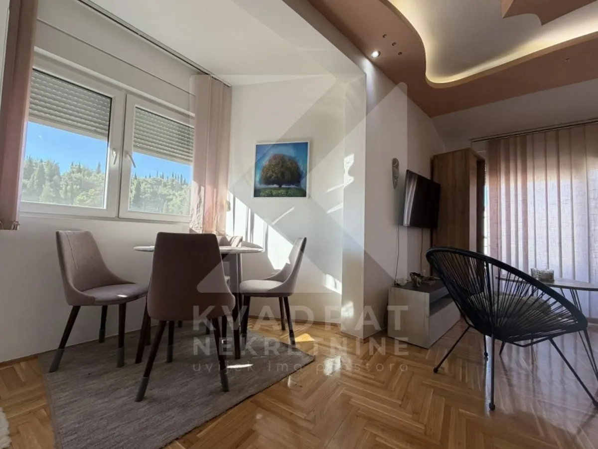 Rent, one bedroom apartment, 45m², Ljubović, Podgorica