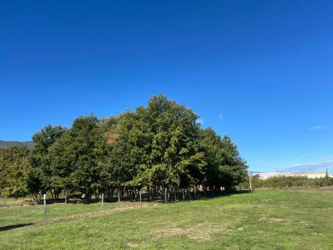 Zemljište in Ćurilac