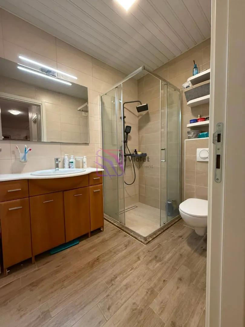 Bathroom equipped with a vanity unit, walk-in shower, and toilet.