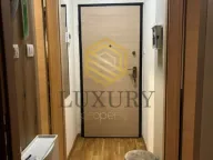 Izdavanje, jednosoban stan, 41m², Velji Vinogradi, Budva - image 4