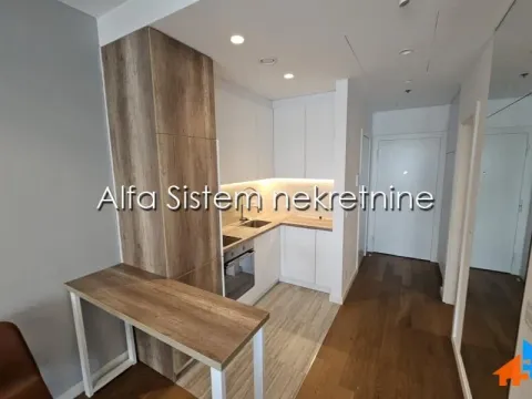 Izdavanje, jednosoban stan, 38m², Novi Beograd Blok 65, Novi Beograd Sve Podlokacije - image 4