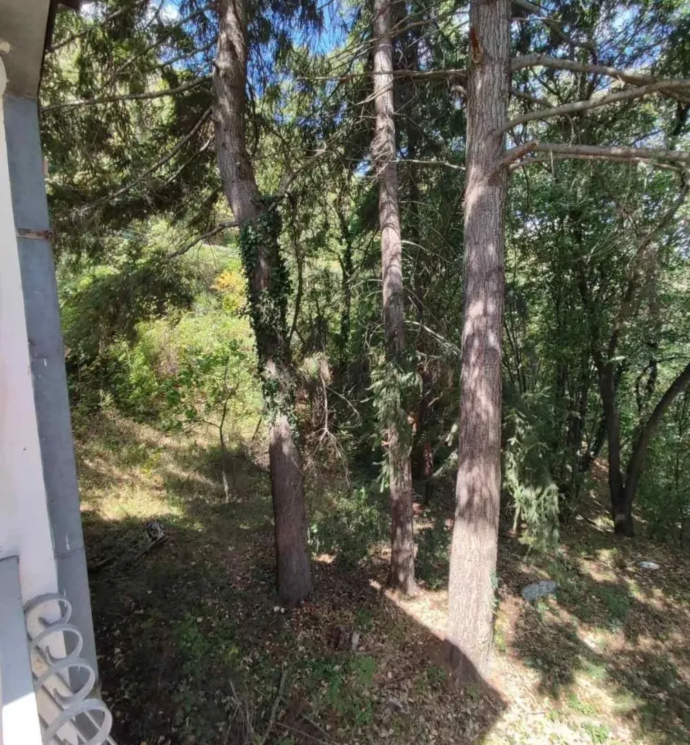 Sale, house, 70m², Donji Milanovac, Majdanpek