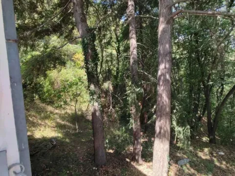 Prodaja, kuća, 70m², Donji Milanovac, Majdanpek - image 6