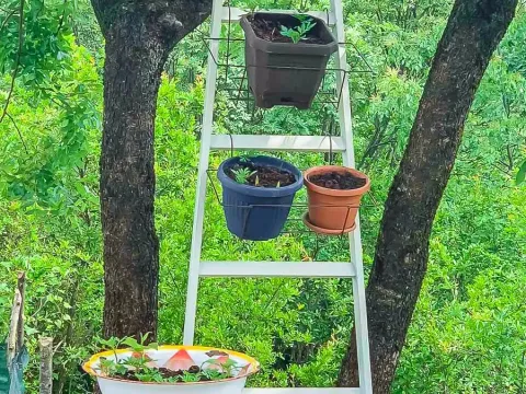 Sale, house, 71m², Danilovgrad, Crna Gora - image 7