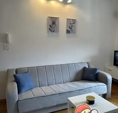 Izdavanje, jednosoban stan, 40m², Stari Aerodrom, Podgorica - image 3