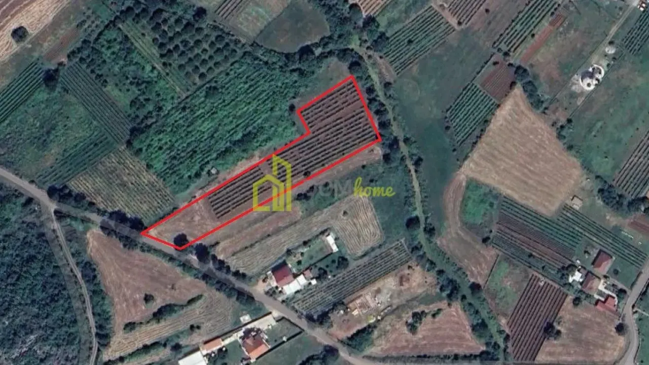 Prodaja, plac, 4314m², Beri, Podgorica