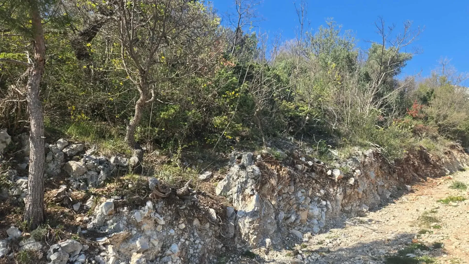 Prodaja, plac, 2061m², Šušanj, Bar
