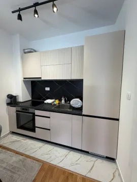 Rent, one bedroom apartment, 40m², Zagorič, Podgorica - image 2