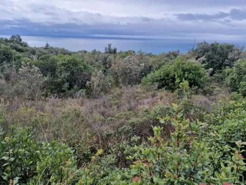 Prodaja, plac, 5000m², Zagora, Kotor - image 4