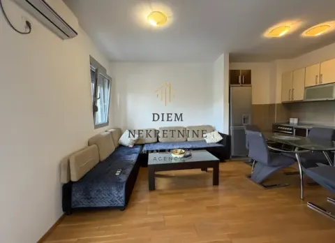 Rent, one bedroom apartment, 45m², Nova Dalmatinska, Podgorica - image 8
