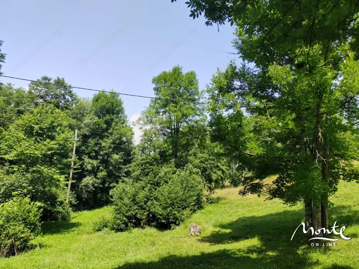 Prodaja, plac, 1313m², Drpe, Kolašin