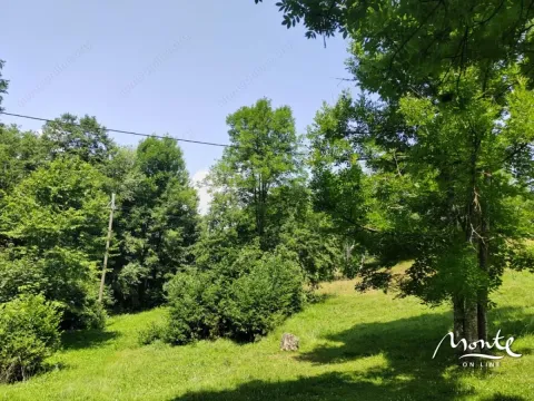 Sale, land lot, 1313m², Drpe, Kolašin - image 7