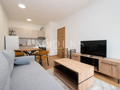 Izdavanje, jednosoban stan, 40m², Tološi, Podgorica - image 3