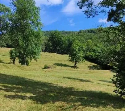 Prodaja, plac, 1300m², Kolašin, Crna Gora - image 5