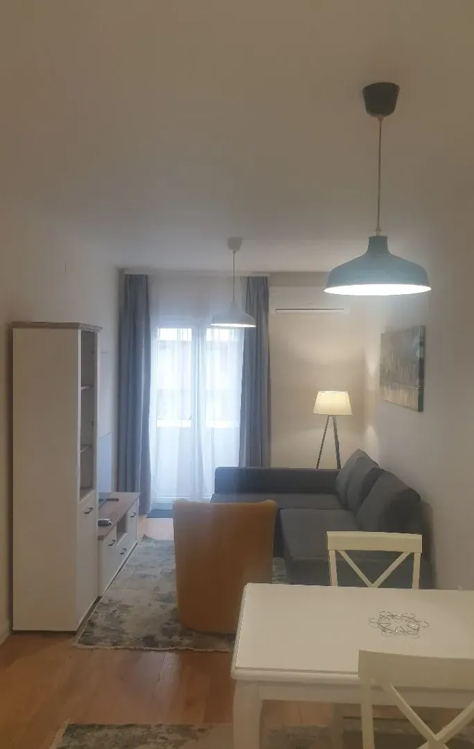 Izdavanje, jednosoban stan, 47m², Central Point, Podgorica