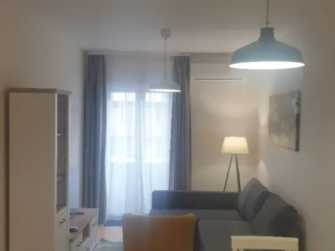 Izdavanje, jednosoban stan, 47m², Central Point, Podgorica - image 1