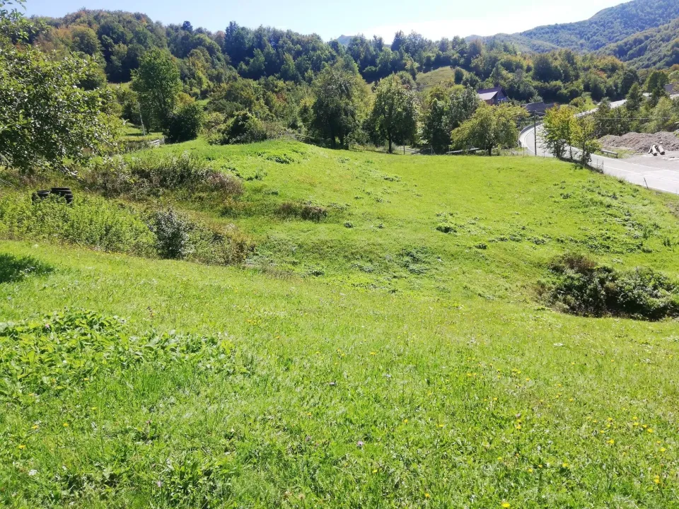 Prodaja, plac, 4919m², Vladoš, Kolašin