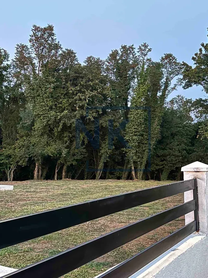 Yard with a fence and trees in the background.
