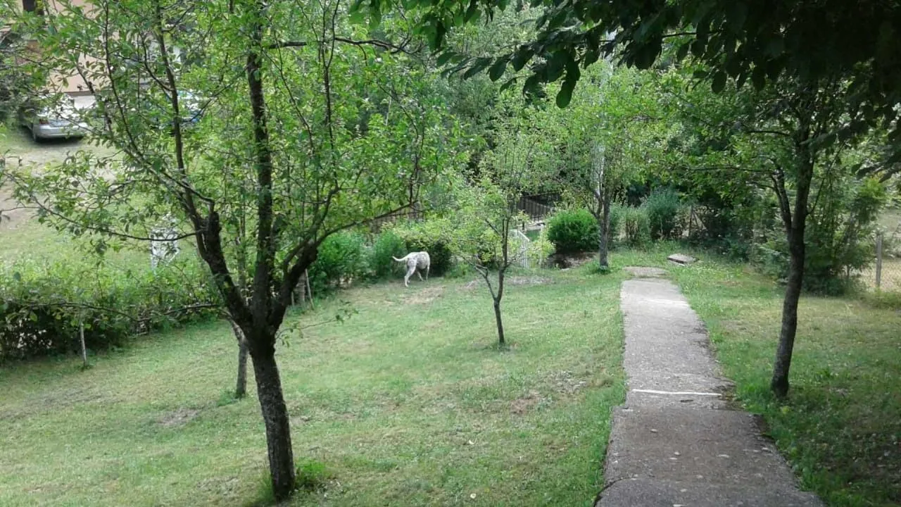 Sale, house, 30m², Centar, Kolašin