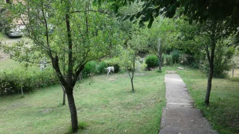 Sale, house, 30m², Centar, Kolašin - image 9