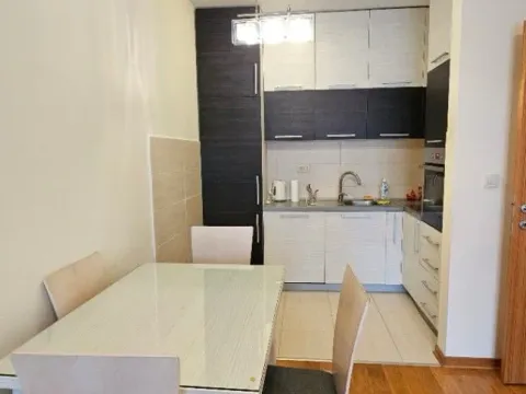 Izdavanje, jednosoban stan, 47m², Blok 6, Podgorica - image 4