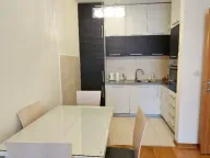 Izdavanje, jednosoban stan, 47m², Blok 6, Podgorica - image 4