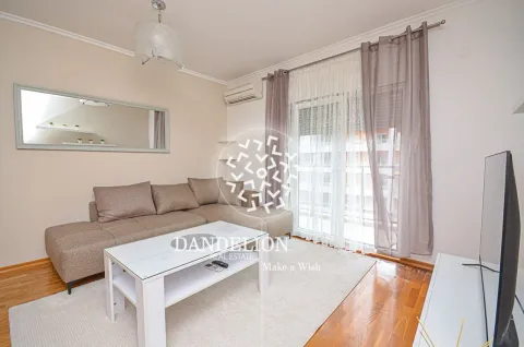 Rent, one bedroom apartment, 59m², Central Point, Podgorica - image 591