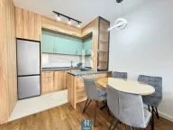 Izdavanje, jednosoban stan, 45m², Zagorič, Podgorica - image 4