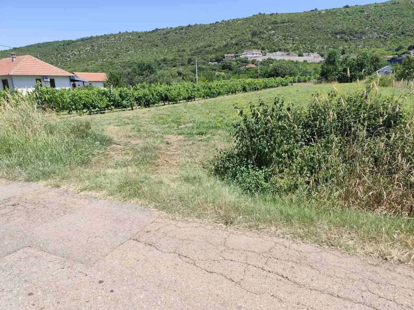 Pogled na plac i okolnu prirodu sa putem u prvom planu.