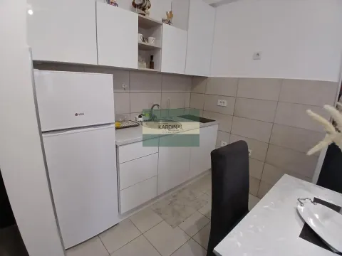 Izdavanje, jednosoban stan, 36m², Aqua park, Jagodina - image 4