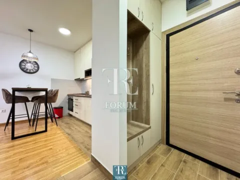 Izdavanje, jednosoban stan, 45m², Zabjelo, Podgorica - image 6